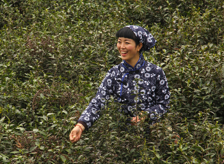 成人视频 热门2